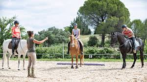 Horseback Riding Lessons